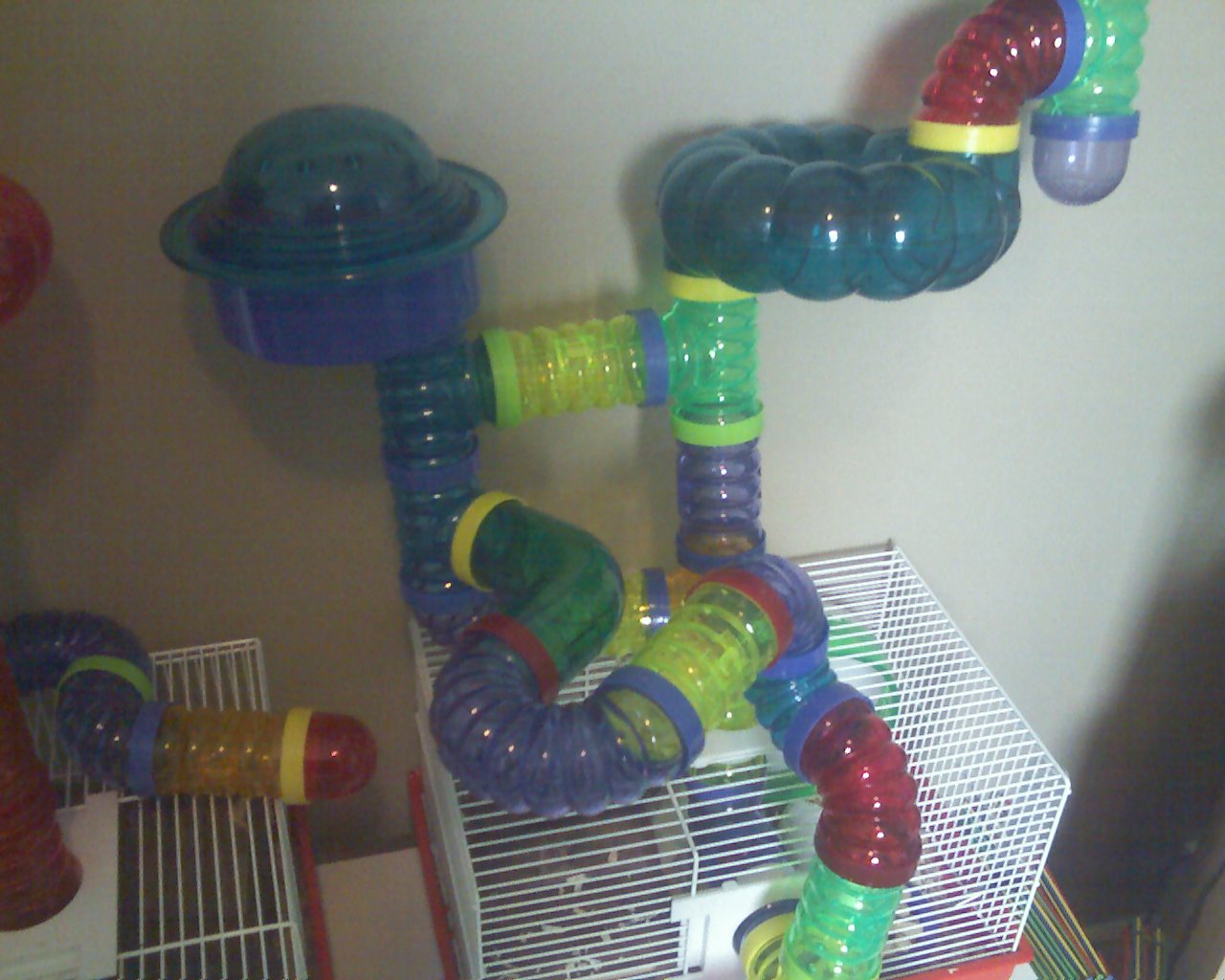 Another Picture Of Remmy's Cage
