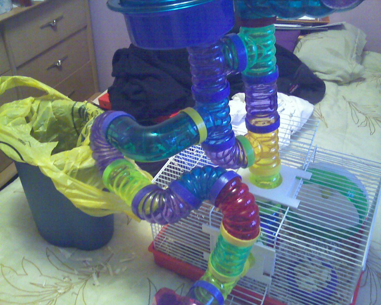 Remmy's Cage Set-up Side View