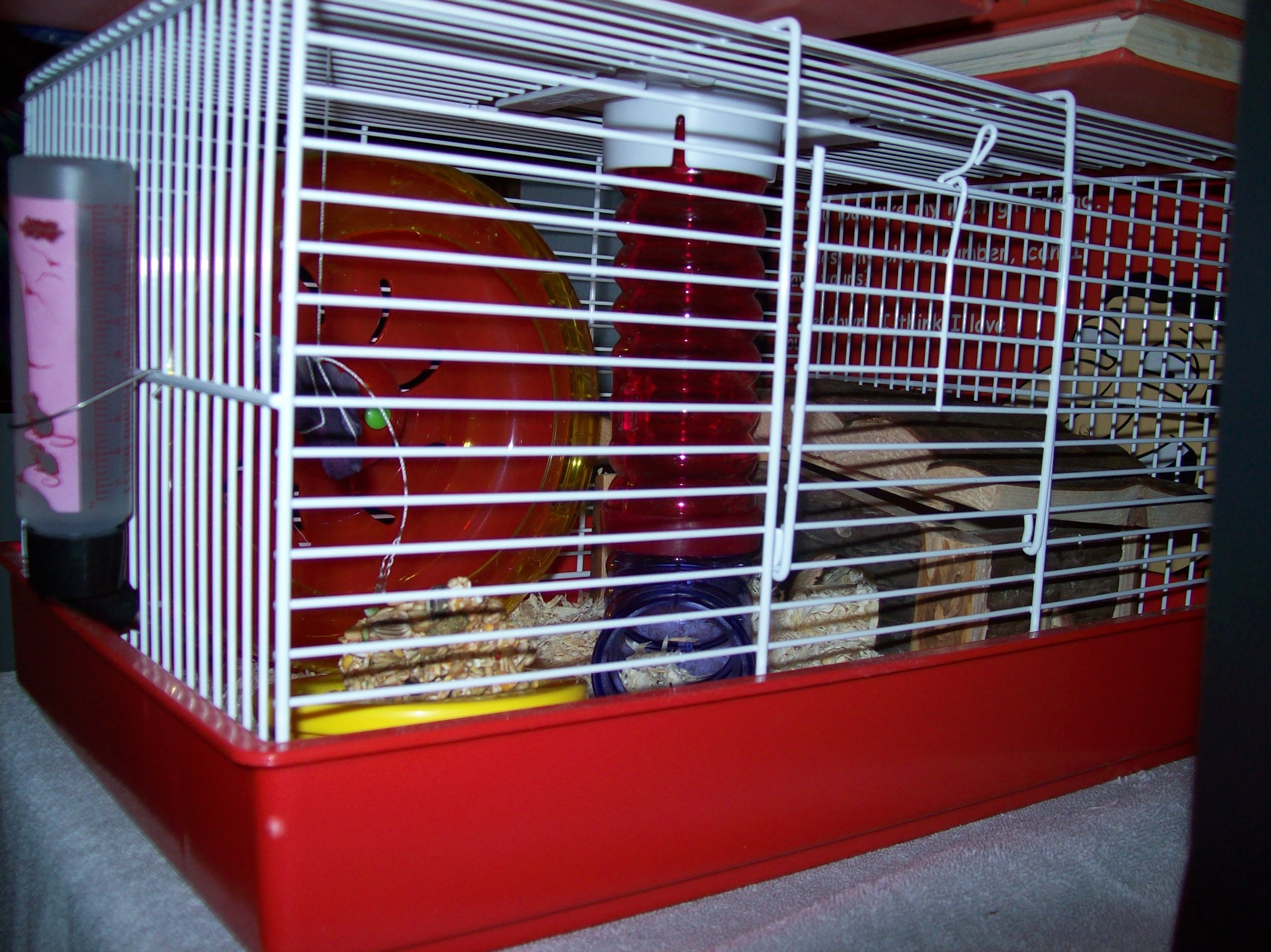 Side View Of Ebichu's Cage