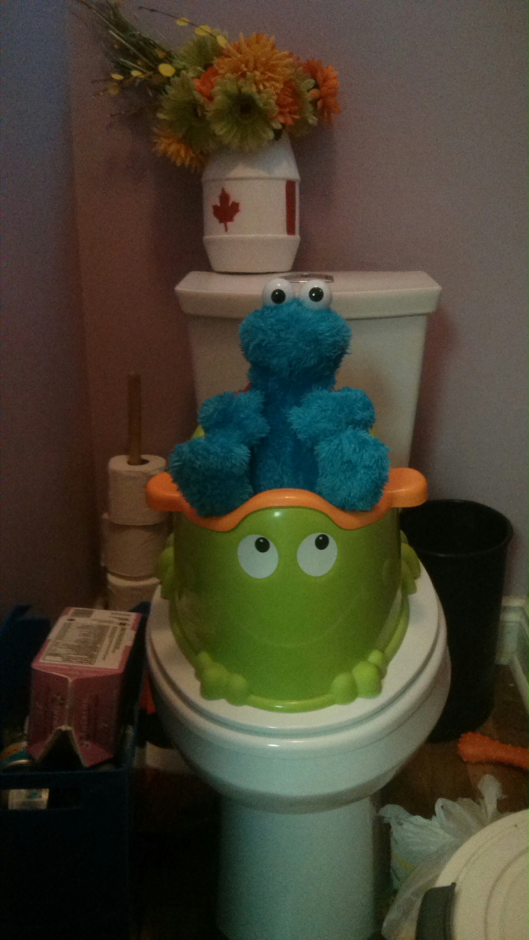 Cookie Monster On The Potty