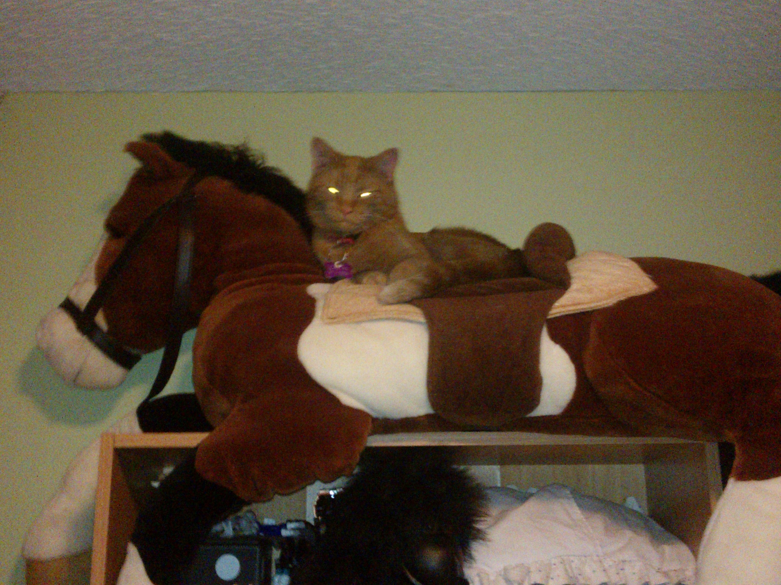 Calvin Riding A Horse