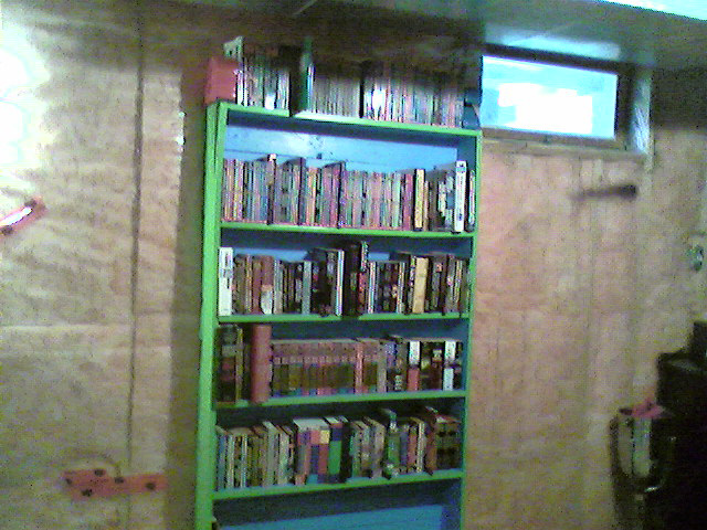 Bookcase I Built Full Of Books